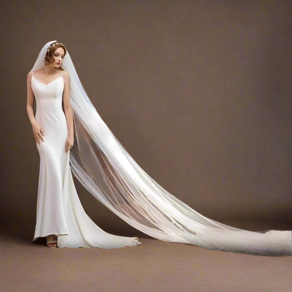 Bride wearing cathedral length elegant wedding veil with comb, draping behind her.