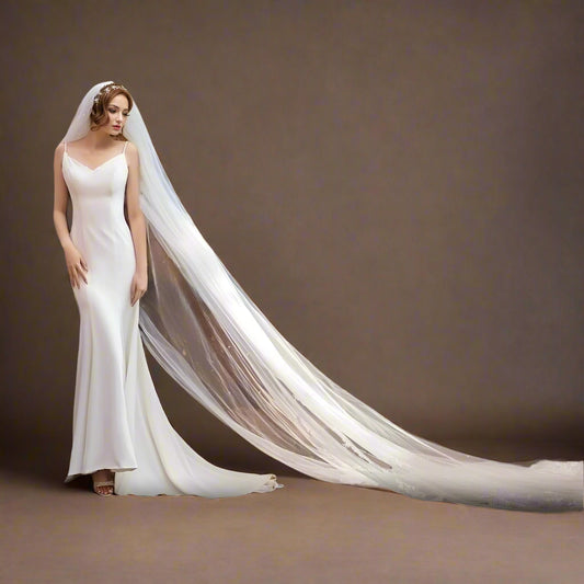 Bride wearing cathedral length elegant wedding veil with comb, draping behind her.