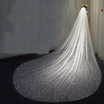 https://lulabridal.com/cdn/shop/products/cathedral-glitter-bridal-veil-341.jpg?v=1673306284&width=416